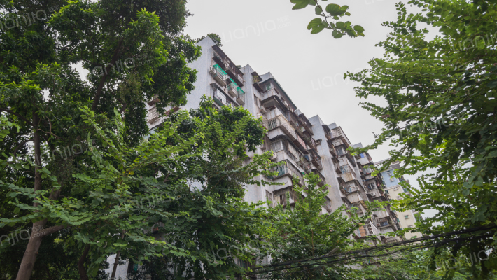 鹭江富华楼外景图