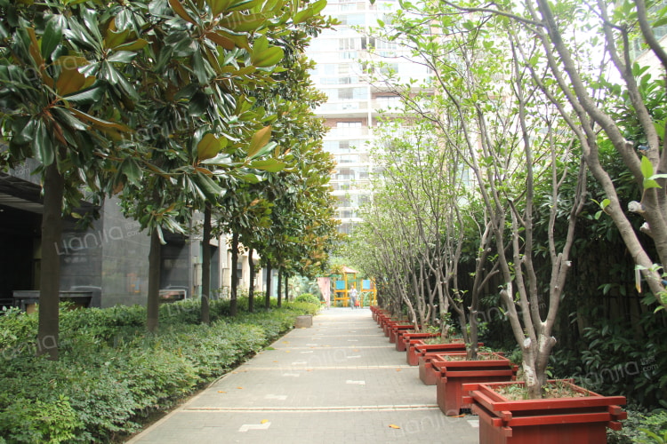 金鹰国际花园_南京金鹰国际花园二手房|房价|租房【南京贝壳找房】