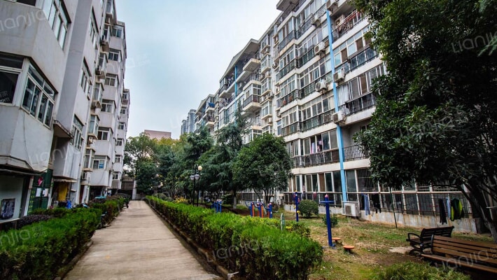 礼尚人家外景图