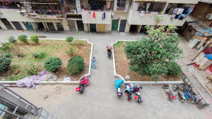 红日花园外景图