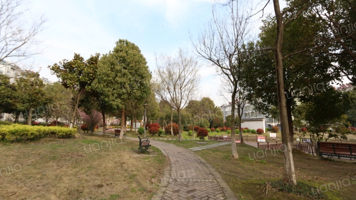 胡同新村外景图