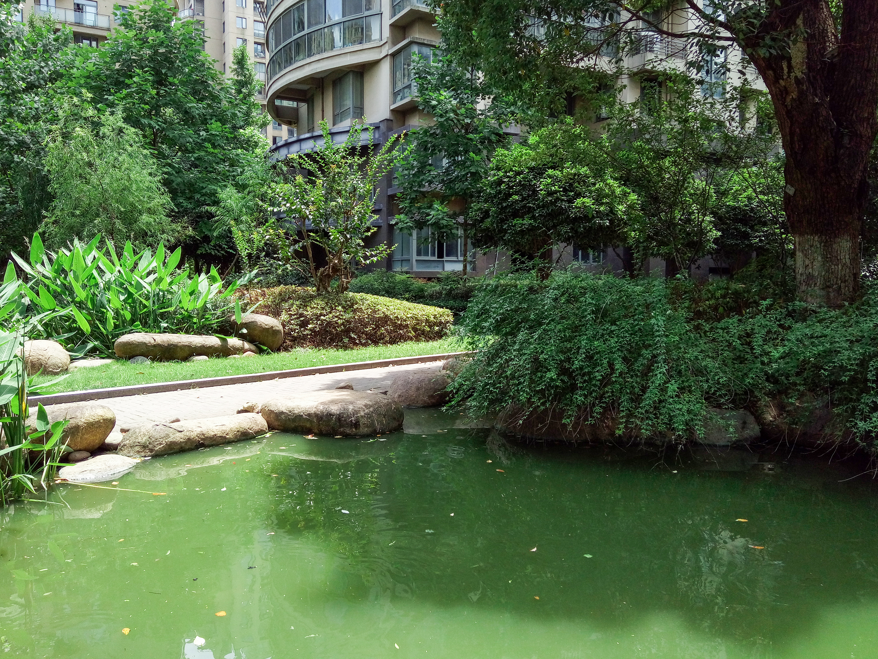 红街公寓小区实景 9