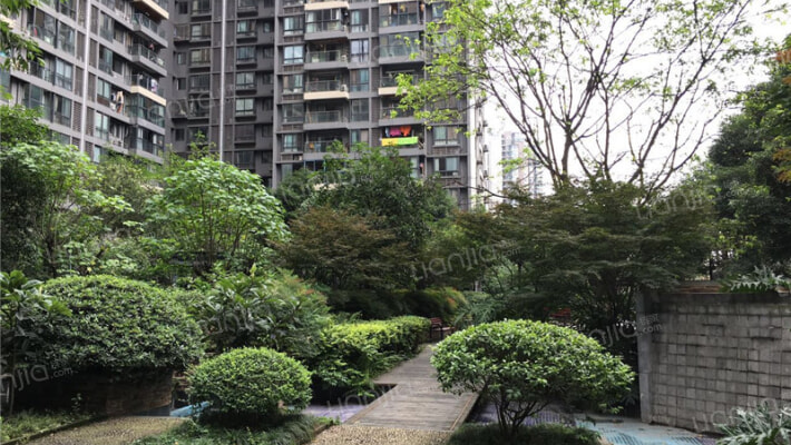 紫云金沙外景图