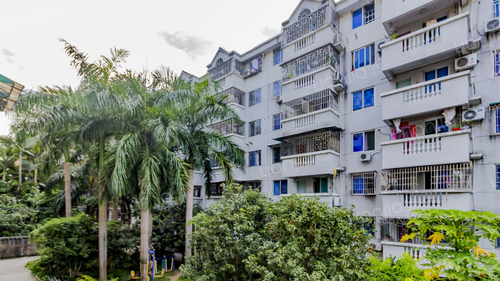 山头角新村外景图