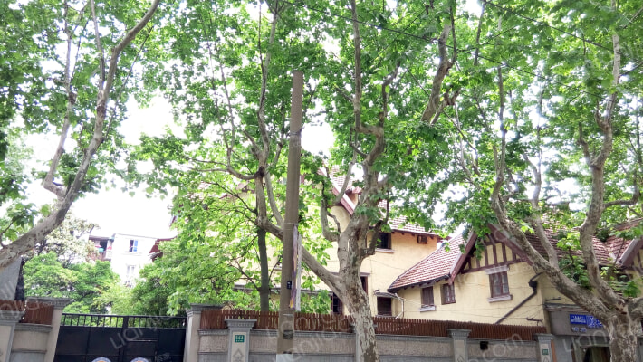 复兴中路563号外景图