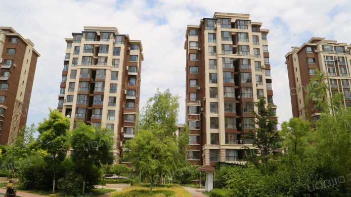 恒德橄榄季外景图