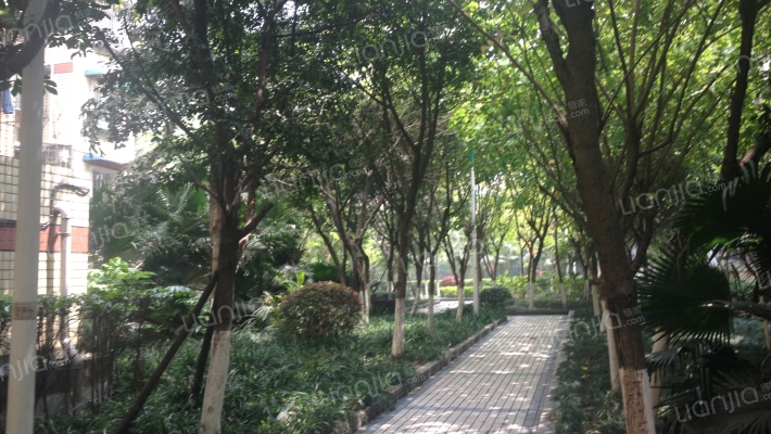 六店小区外景图