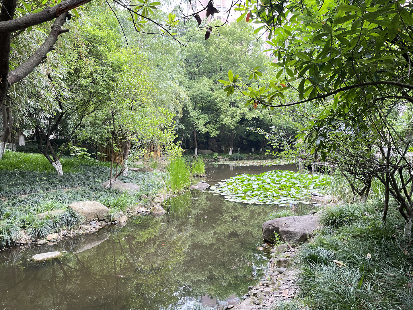 Baijin Haian compound photo 13