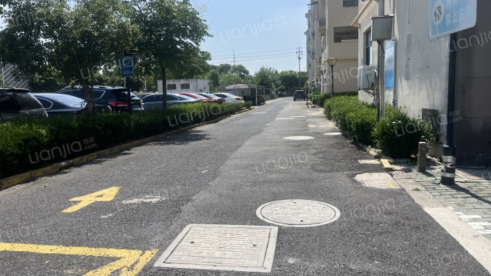 迎春花苑外景图