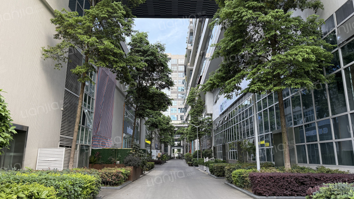 大合仓星商界外景图