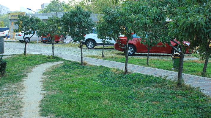 永顺北街外景图