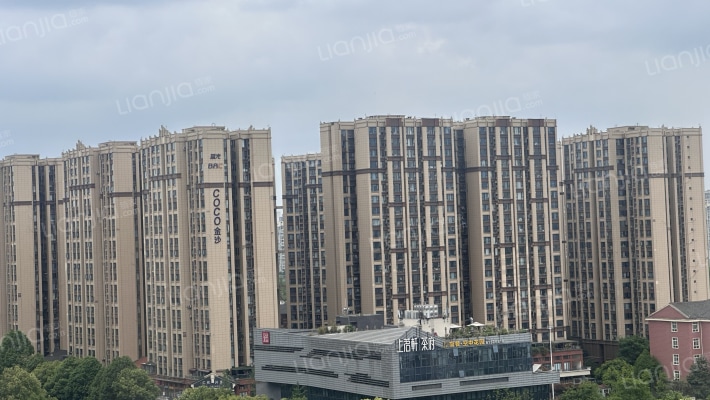 蓝光COCO金沙三期外景图