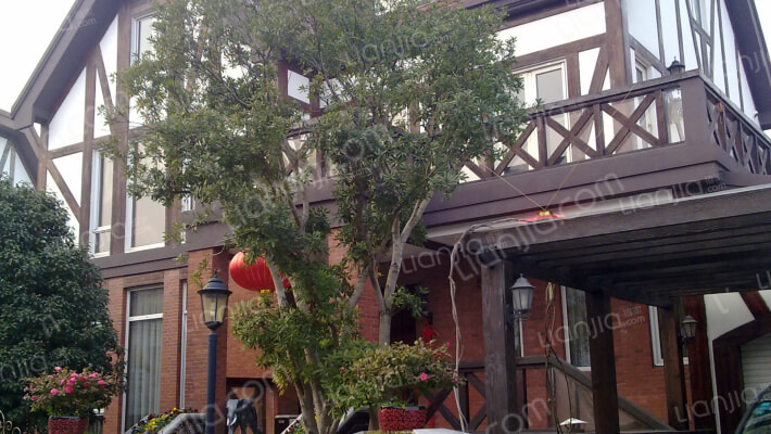 云间绿大地外景图