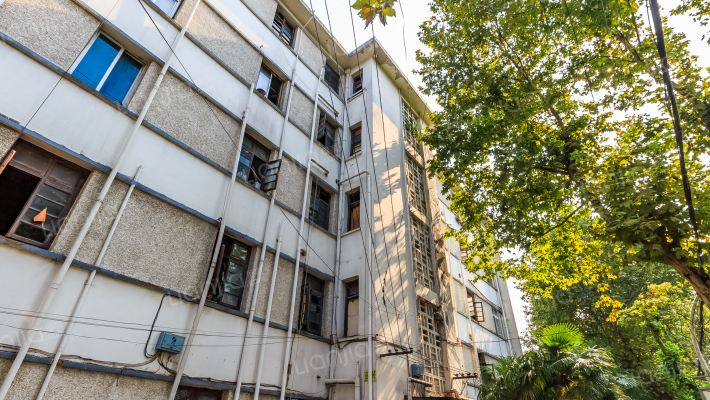 白塔东路散盘外景图