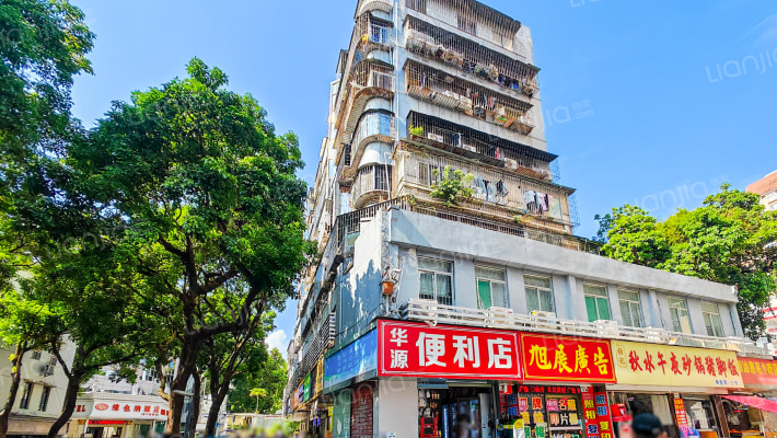 新园路16号大院外景图