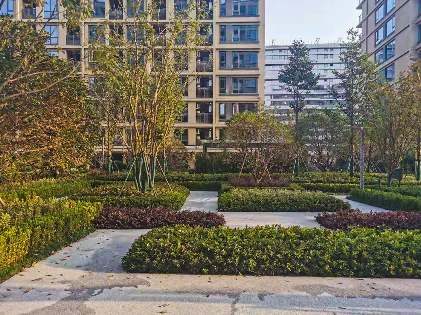 绿城杨柳郡小区实景 10