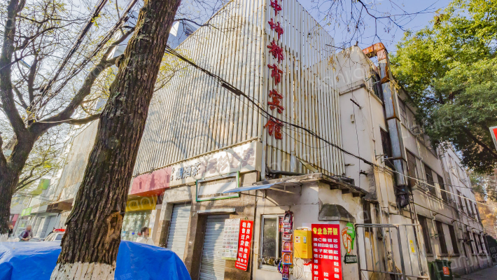 舒城路11号外景图