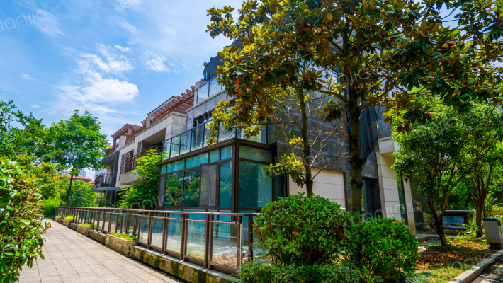 碧桂园凤凰城翡翠岛B区外景图