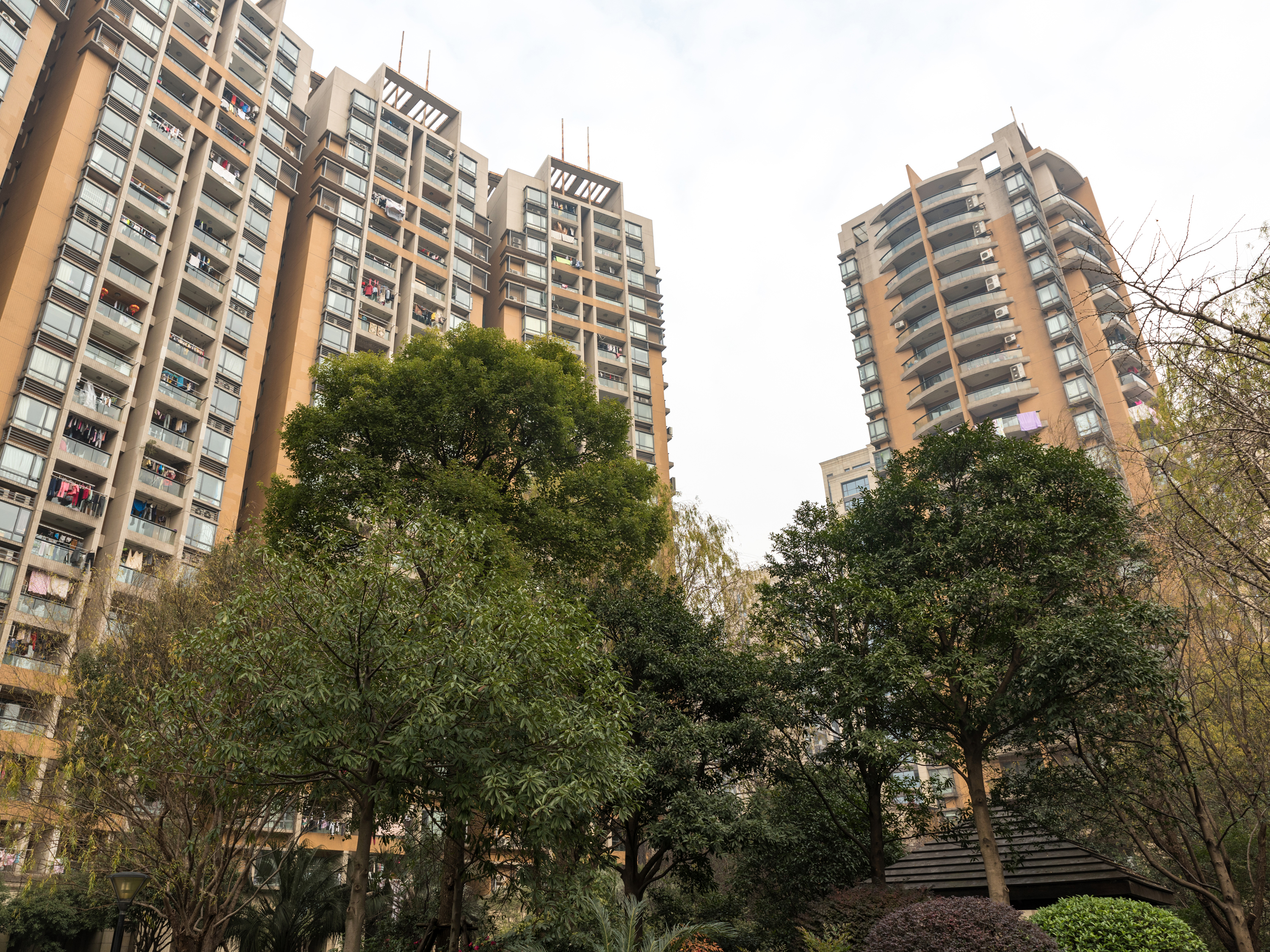 金色家园小区实景 12