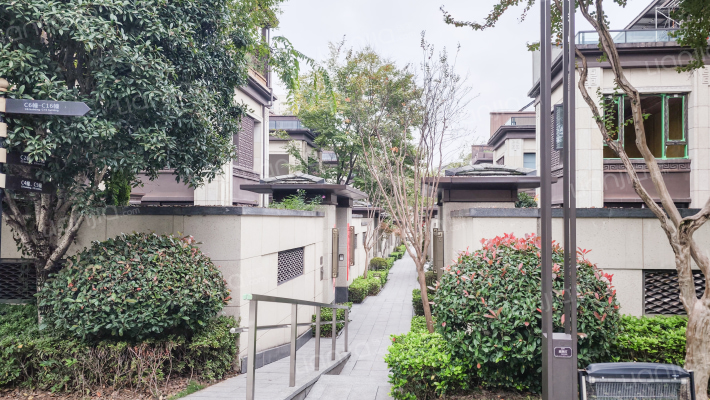 金科金辉美院C区外景图