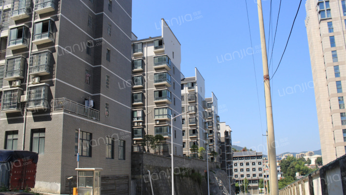 蔬菜安置区外景图