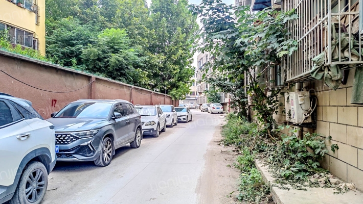 金阁公寓外景图