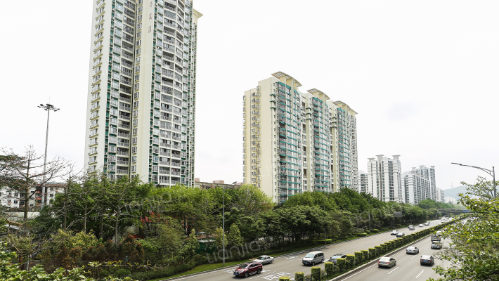 桐景花园外景图