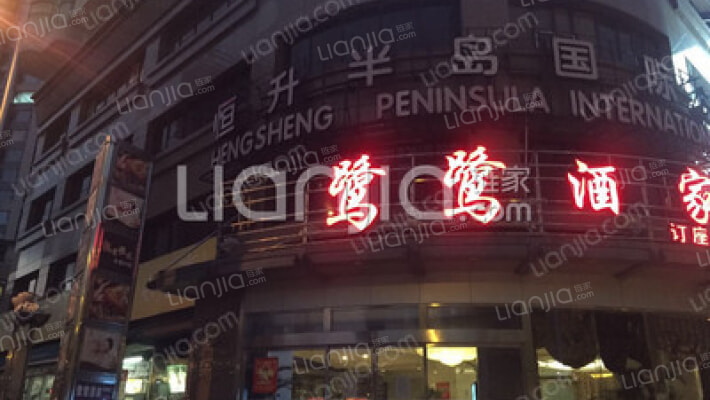 恒生半岛国际中心大厦外景图