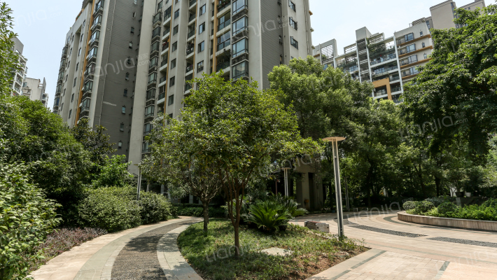 鲁能星城四街区外景图