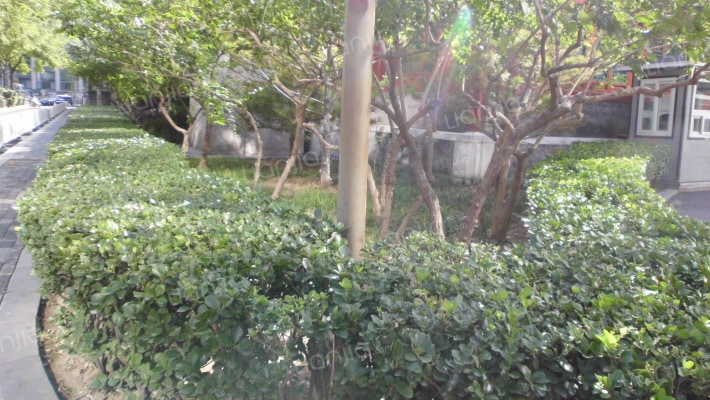 投资广场外景图