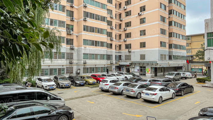 西北西粮实业有限公司家属院外景图