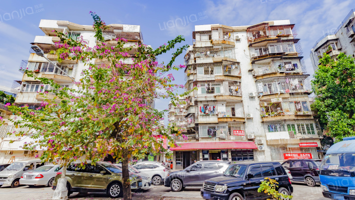 吉大新村外景图