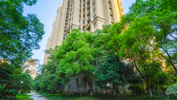 碧桂园凤凰城·凤仪苑外景图