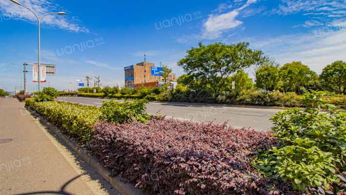 金城公寓外景图