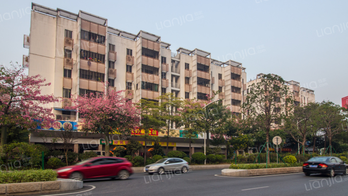 三水区西南街道西青大道外景图