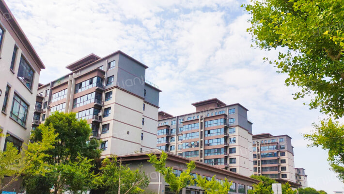 崇文尚学一期外景图