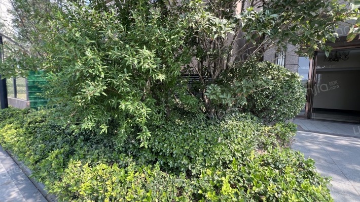 玖仁幸福家园外景图