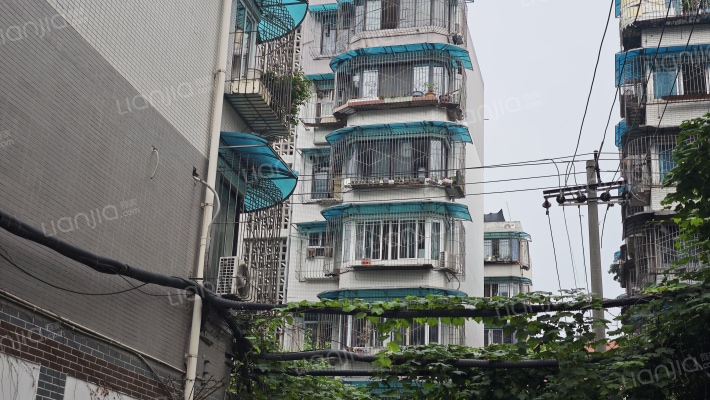 兴蓉南一巷7号外景图