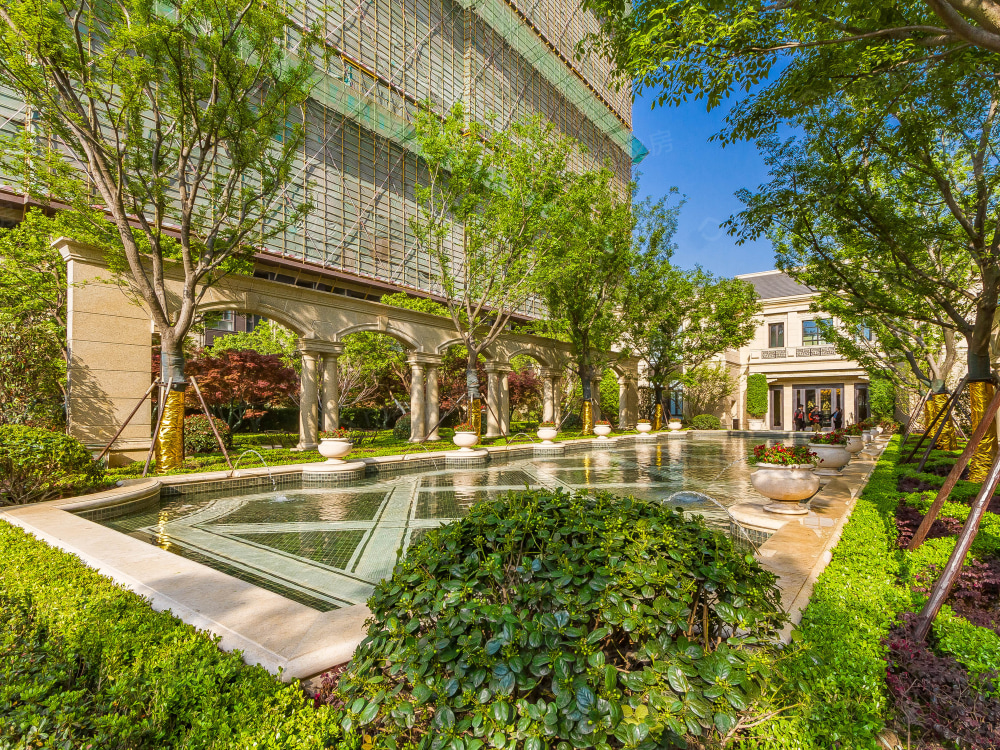 浦西玫瑰园相册