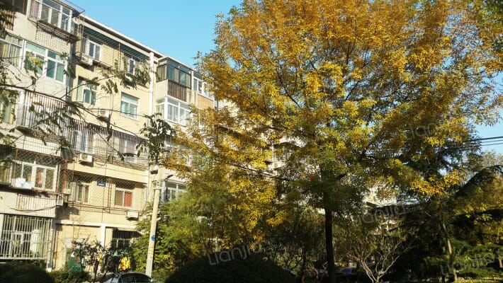 水碓子社区外景图