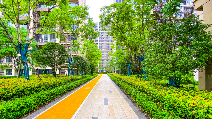 宝龙TOD未来新城外景图