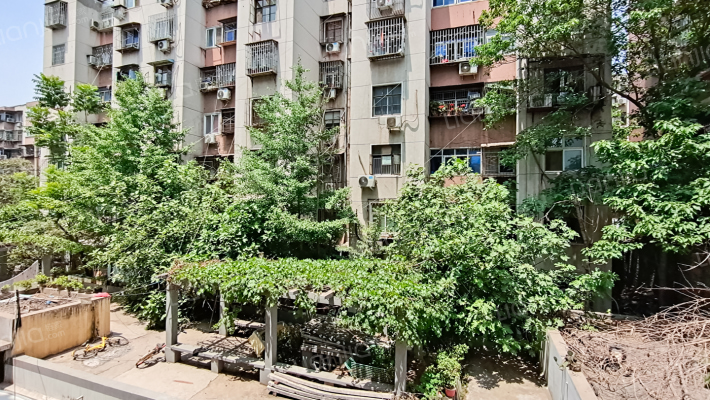 烟厂后街20号外景图