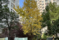 望湖城桂香居福桂苑户型图实景图