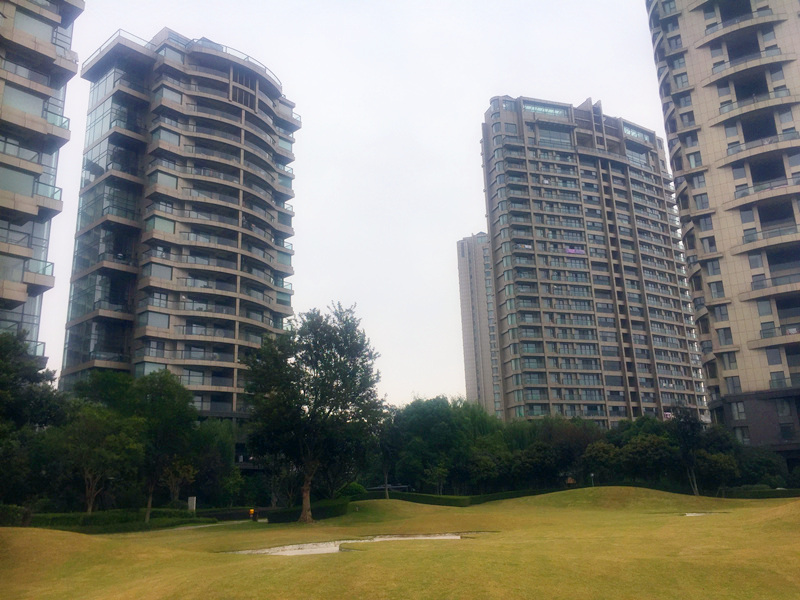 The Dreamland compound photo 7