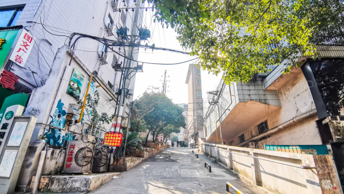 下麻园湾外景图