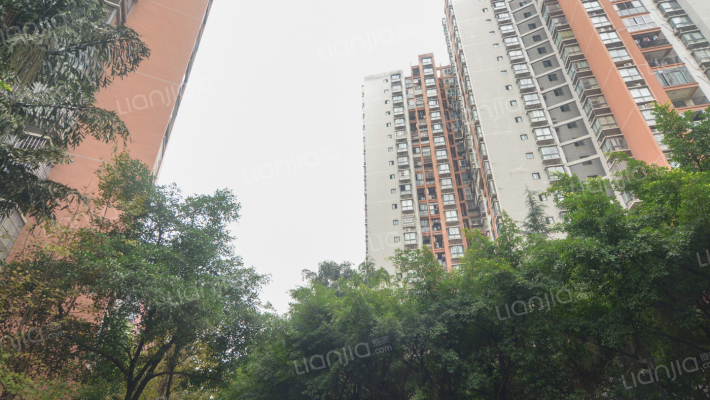 北岸明珠外景图