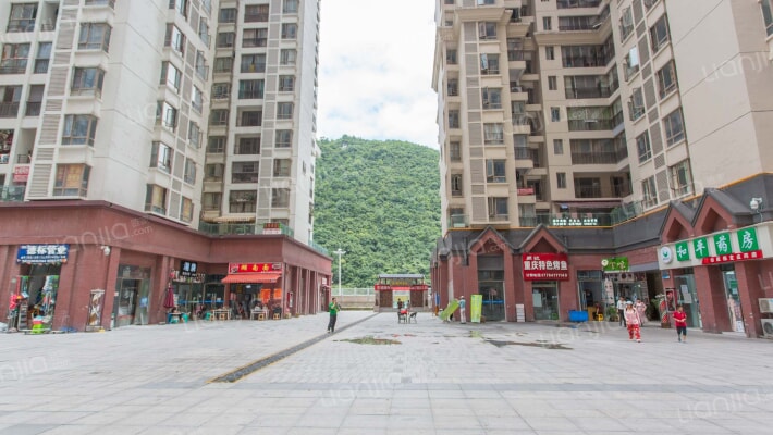 花果园V区外景图