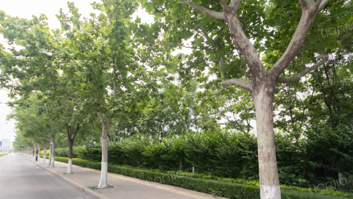 鑫茂鑫街区公寓外景图