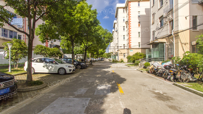 申莘一村外景图