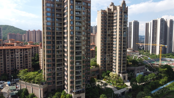 锦多宝吉祥龙外景图